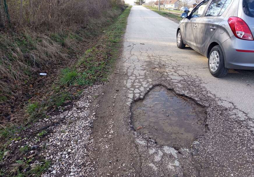 FOTO: ŽELJKA KNEŽEVIĆ/RINGIER