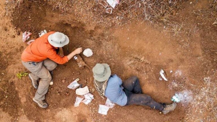 Djelimični skelet dinosaurusa iskopan u blizini ostrva Musango. Foto FaceBook/Fanuel Viriri
