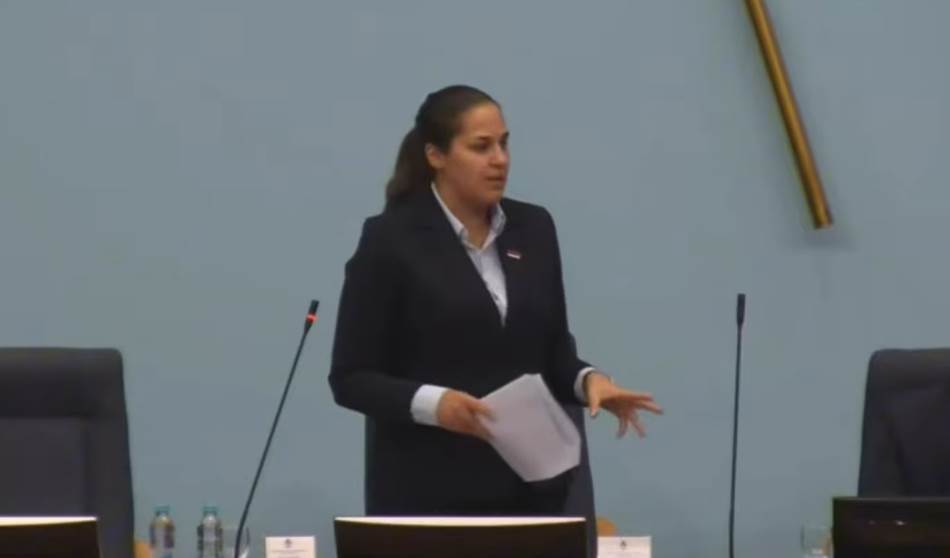 Osiguranje odbilo pokriti štetu na vozilu NSRS: Troškove snosi Anja Ljubojević, pokrenut postupak zbog obijesne vožnje