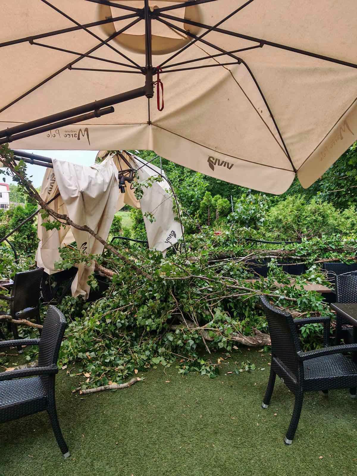 (FOTO) Pune ruke posla za banjalučke vatrogasce: Gasili POŽARE u stanu i radionici, uklanjali i stabla