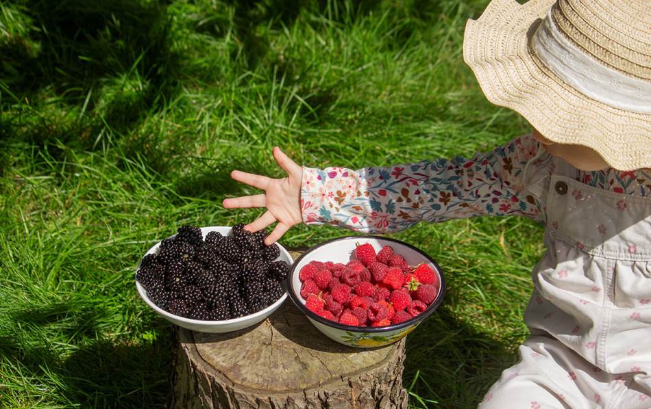 Maline bogate vlaknima idealne za doručak
