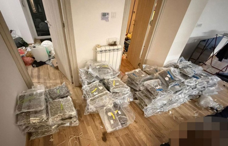 U akciji pronađeni marihuana, kokain i hašiš. Foto MUP Srbije