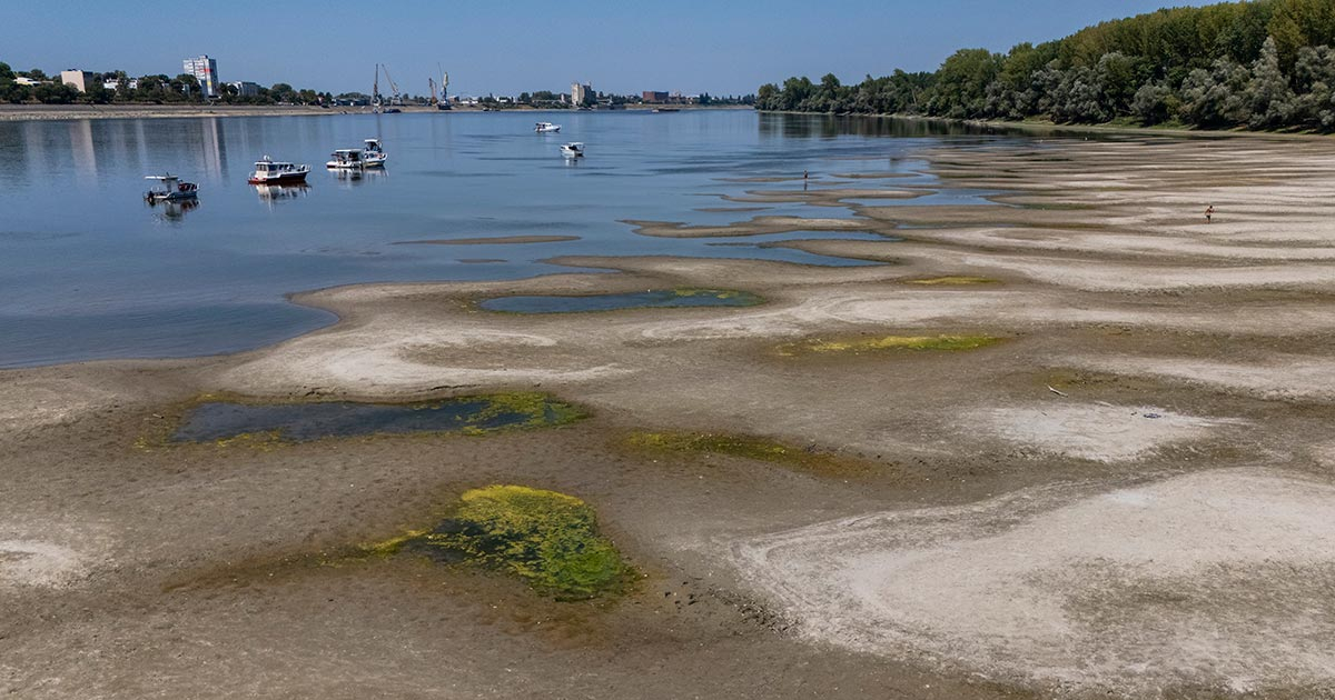 Prizori sa Dunava zabrinuli i iskusne kapetane: "Ovakvo nešto ne pamtim"
