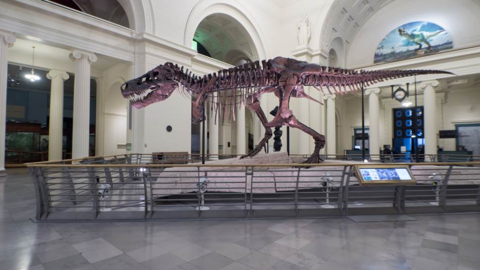 Tiranosaurus reks ide na aukciju: Fosil vrijedan 30 miliona dolara mogao bi oboriti rekord