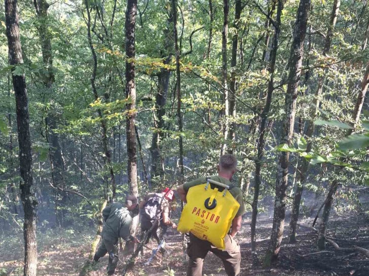 Veliki požar na Motajici lokalizovan nakon višečasovne borbe: Izgorjelo oko 20 hektara šume