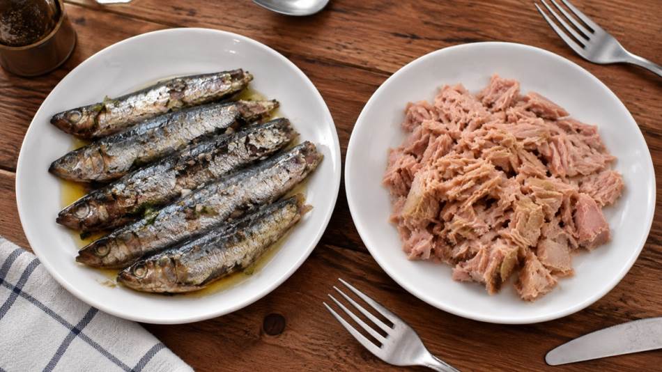 Da li je zdravije jesti tunjevinu ili sardinu? Razlika je veća nego što mislite