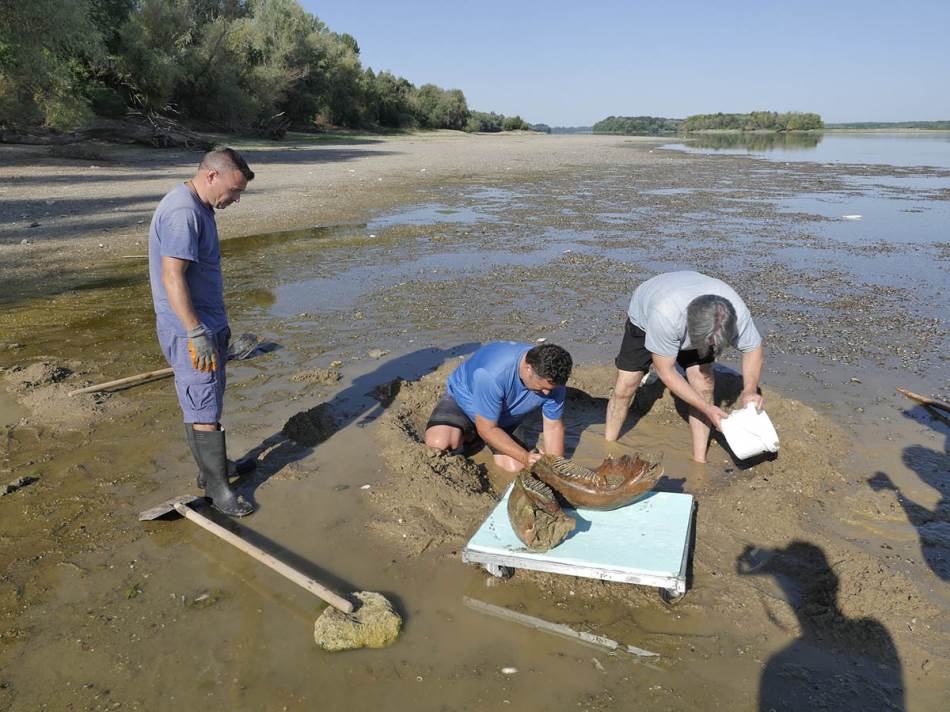 Stručnjaci upozoravaju: Nizak vodostaj ugrožava rijeke, ne koristite riječnu vodu za kupanje i navodnjavanje