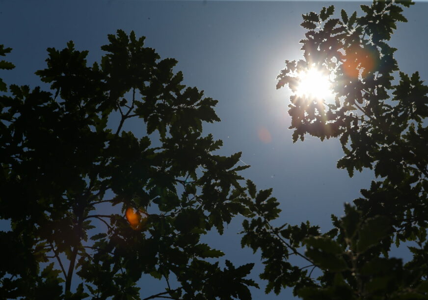 ljeto sunce vrućina