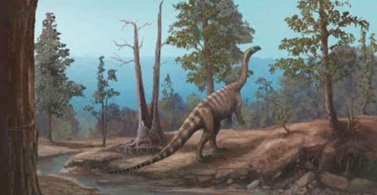 To je peta vrsta dinosaurusa identifikovana u Zimbabveu. Foto FaceBook/Fanuel Viriri