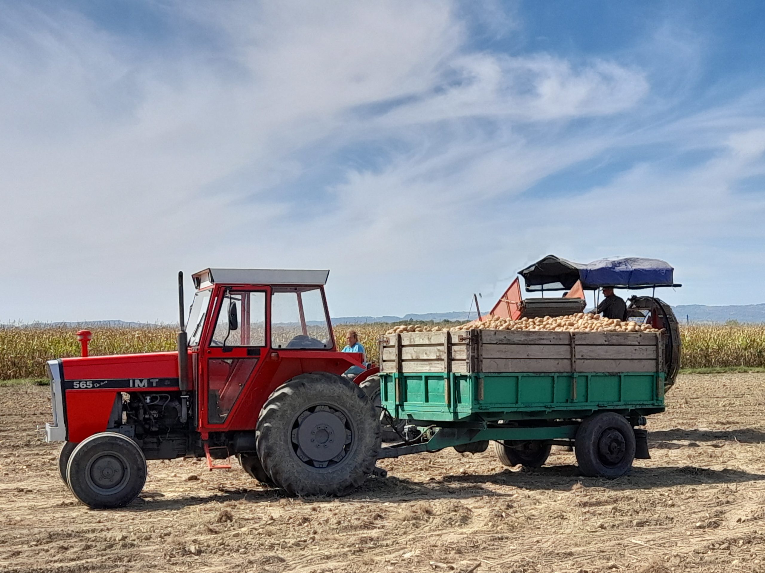 Nedostatak radne snage uzeo maha: Daju dnevnicu 150 KM, a radnika ni na vidiku