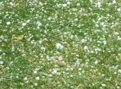 Led "tukao" 15 minuta i OPUSTOŠIO USJEVE u BiH: Ogromna šteta u malinjacima i plastenicima, meteorolozi upozoravaju da najgore tek stiže