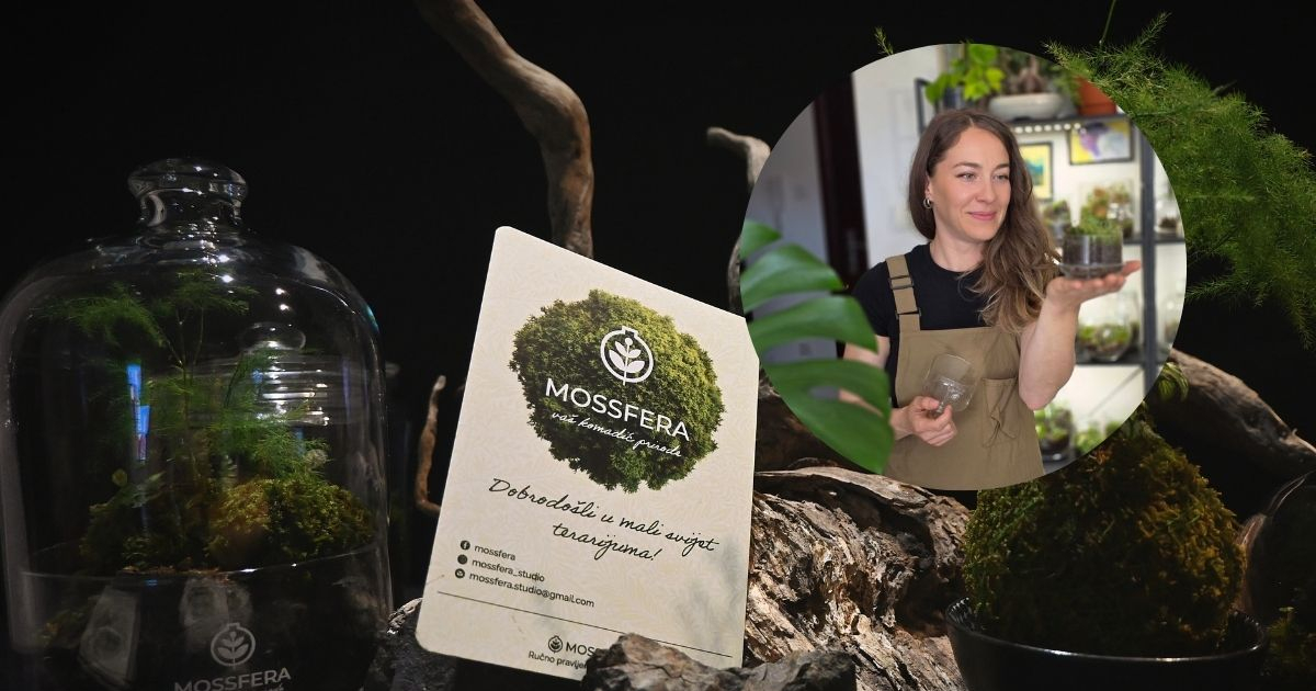 "Mossfera" terarijumi: Živa umjetnost Vedrane Puncer donosi djelić divlje prirode u domove