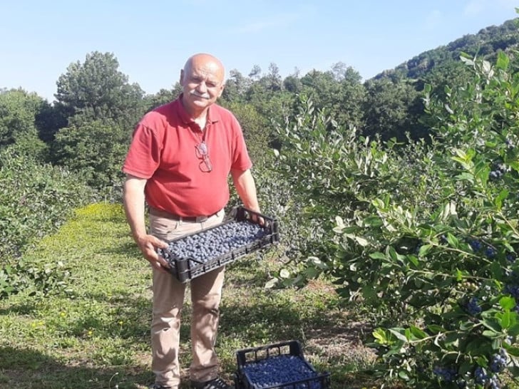 "Plavo zlato" rodilo kao nikad prije
