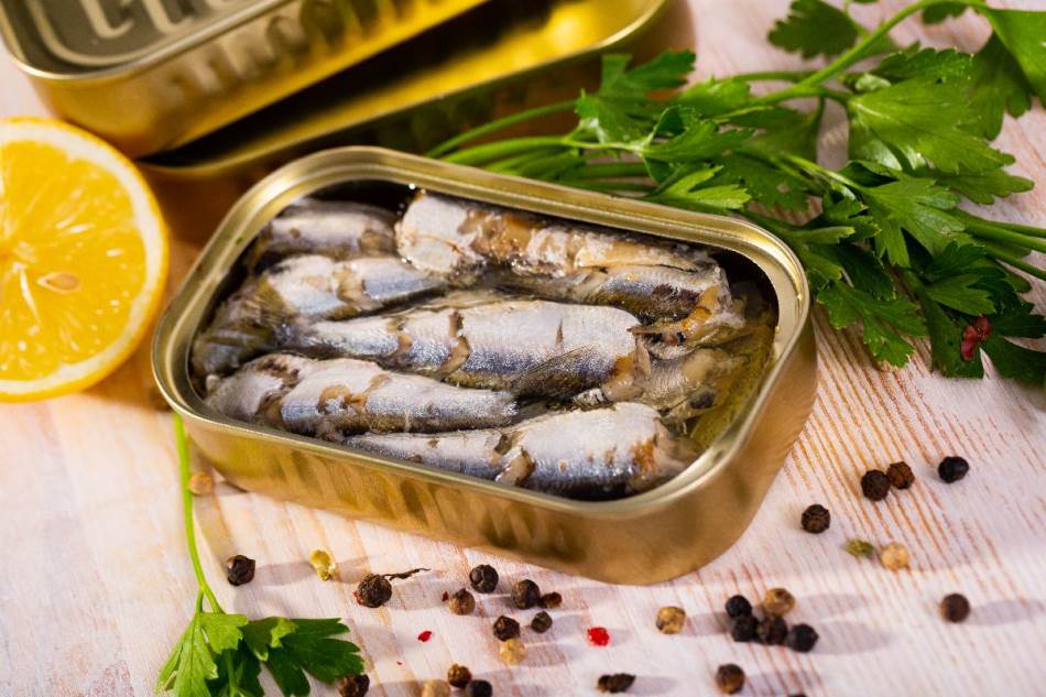da li je zdravija sardina ili tunjevina